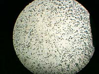 Вид поверхности зеркала в микроскоп в процессе шлифовки